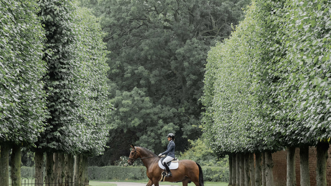 Horse Tack Kentucky Horsewear