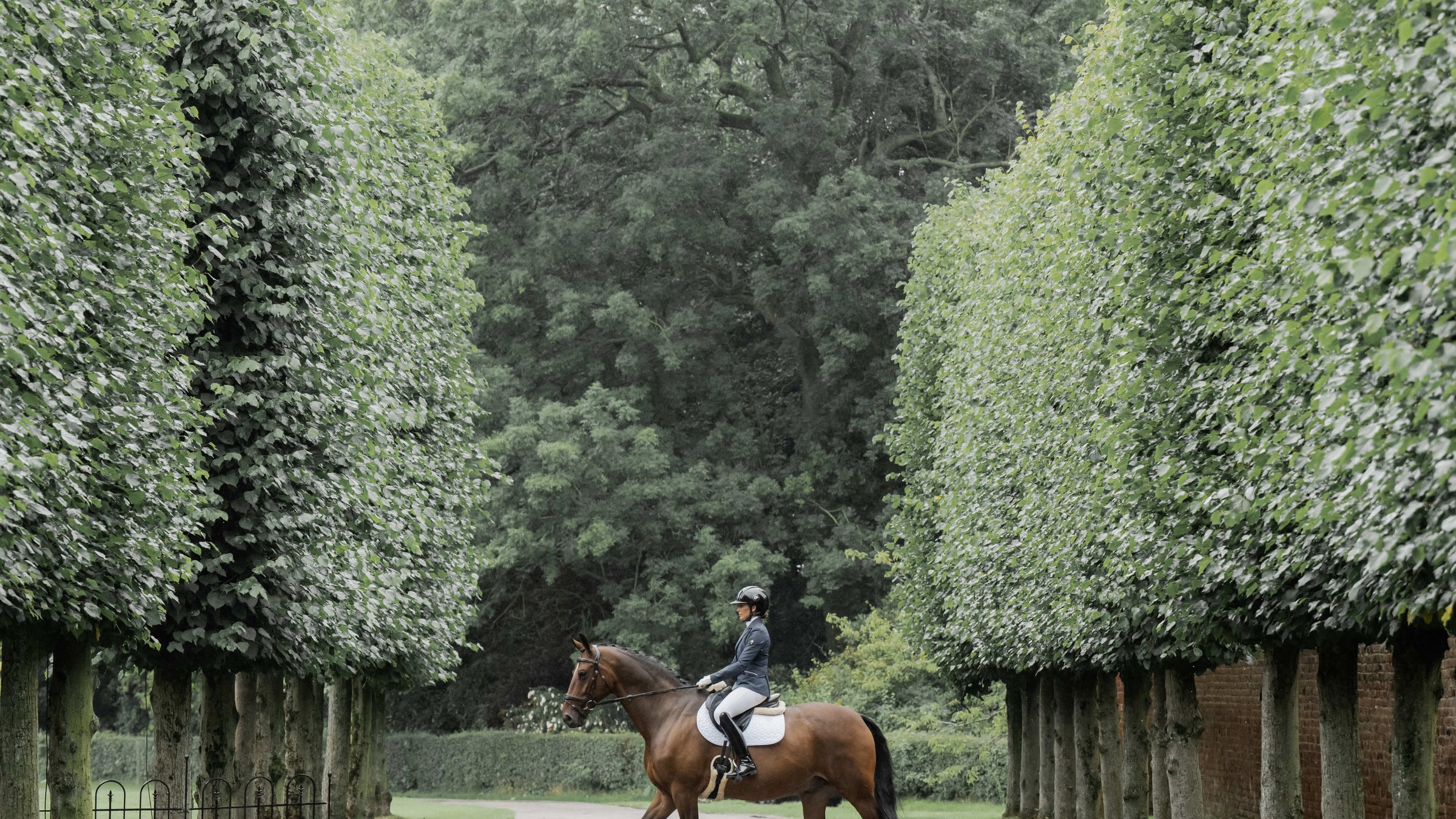 Horse Tack Kentucky Horsewear