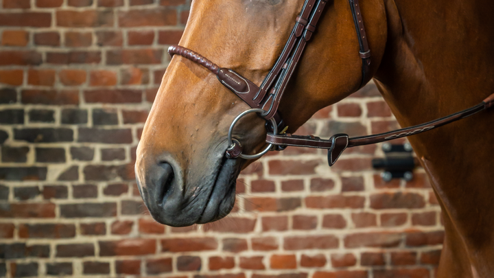 Dyon Leather Covered Rope Noseband