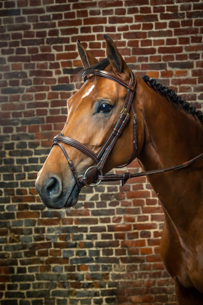 Dyon Flash Noseband Bridle
