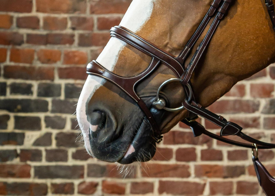 Dyon Double Noseband