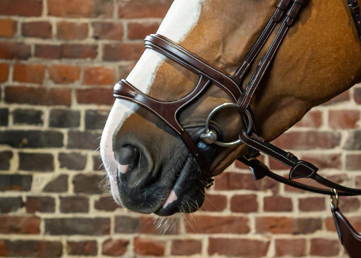 Dyon Double Noseband