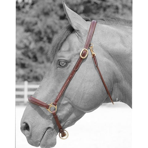 Dyon Fancy Grooming Head Collar