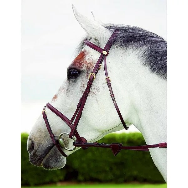 Dyon Flash Noseband Bridle