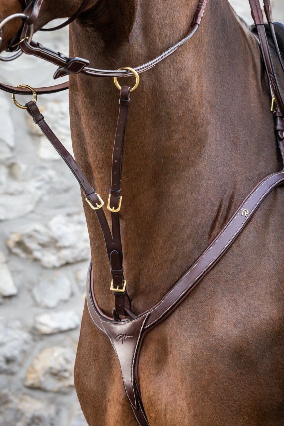 Dyon Running Martingale Attachment