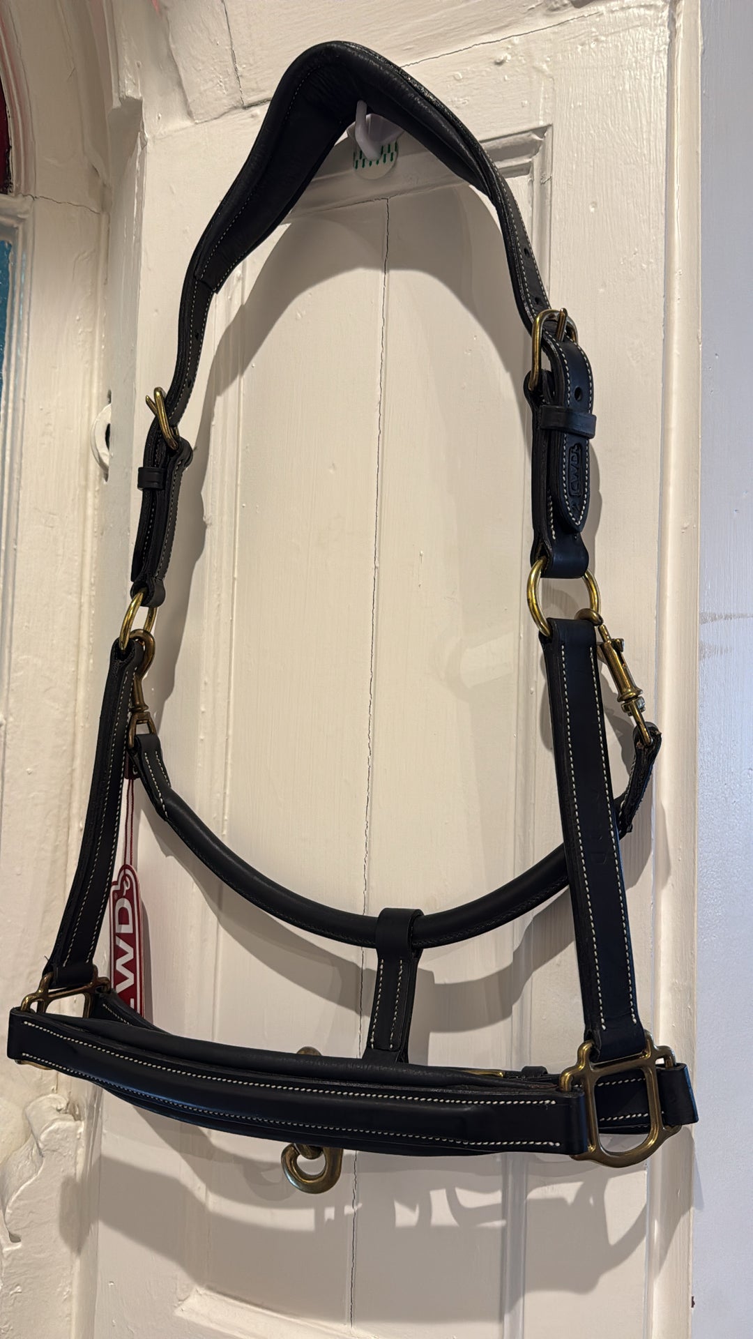 CWD Stable Halter