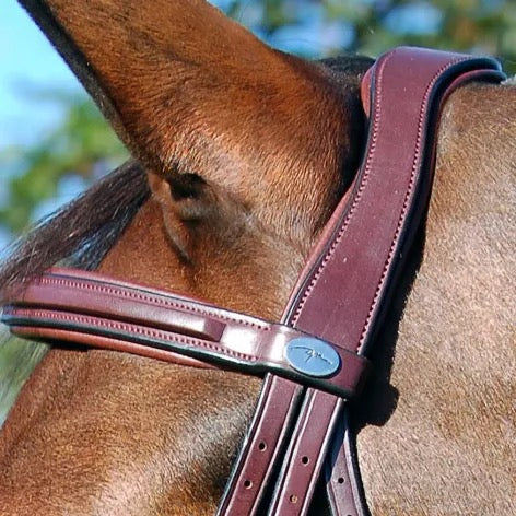 Dyon New English Collection Flash Bridle