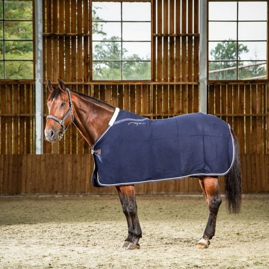 Dyon Wool Rug