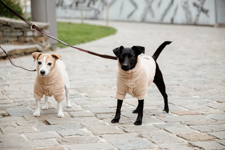 Kentucky Horsewear Dog Sweater Teddy Fleece