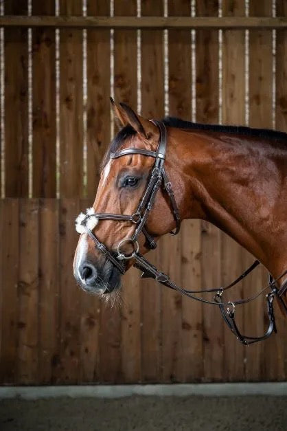 Dyon Working Collection “Classic” Figure 8 Noseband Bridle