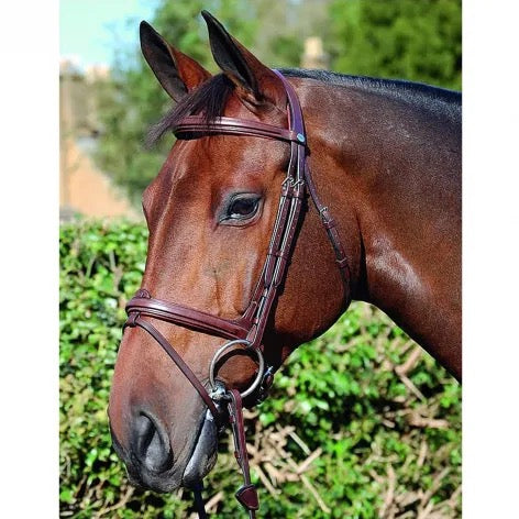 Dyon New English Collection Flash Bridle