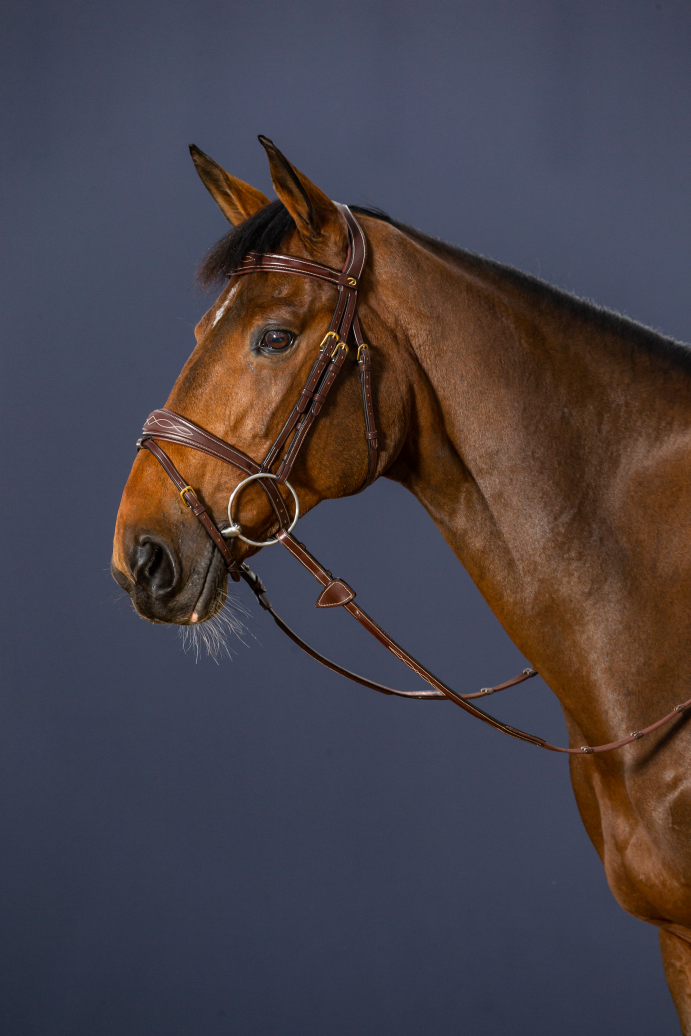 Dyon Anatomic Flash Noseband Bridle