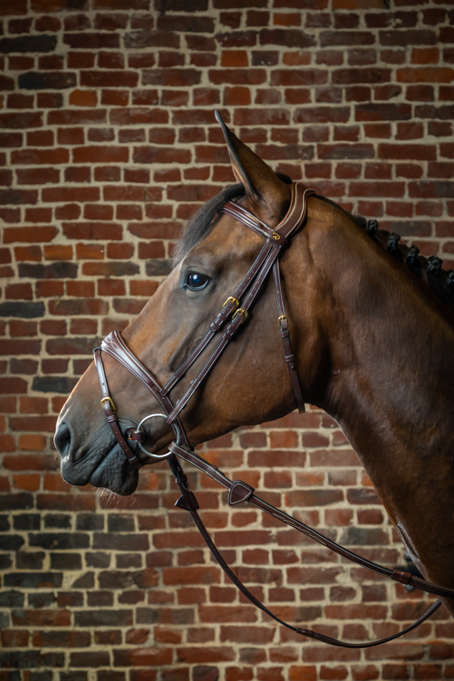 Dyon Anatomic Flash Noseband Bridle