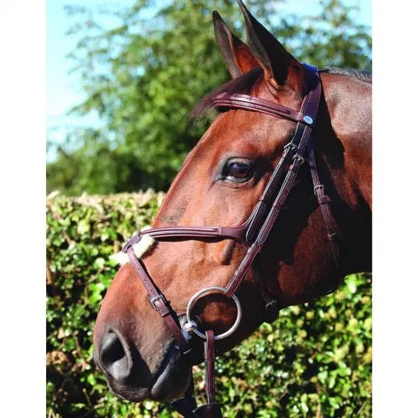 Dyon New English Collection Grackle Bridle