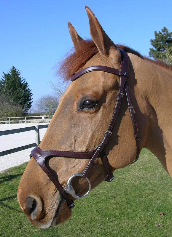 Dyon New English X-Fit Anatomic Bridle