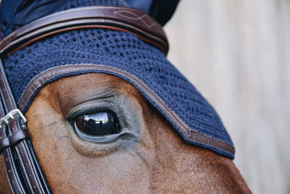 Kentucky Horsewear Fly Veil Wellington Leather Soundless