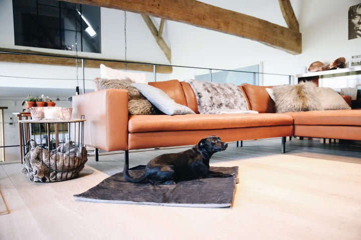 Kentucky Horsewear Dog Bed Travel In Style