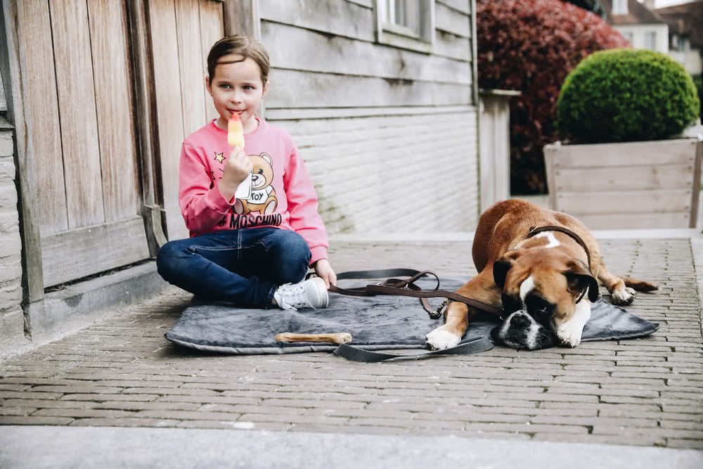 Kentucky Horsewear Dog Bed Travel In Style