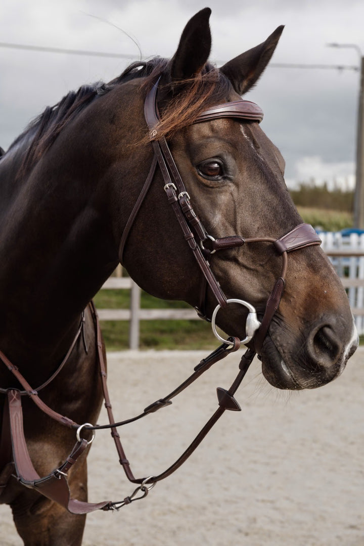 Dyon Elastic Hybrid Noseband