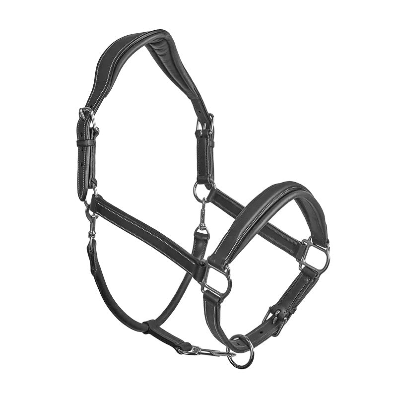 CWD Stable Halter