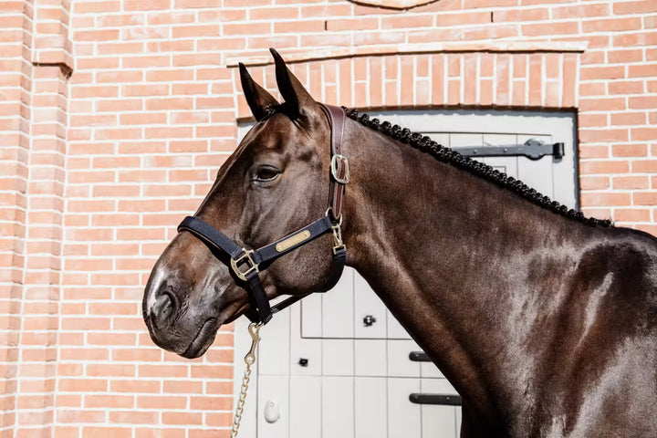 Kentucky Horsewear Nylon Anatomic Halter