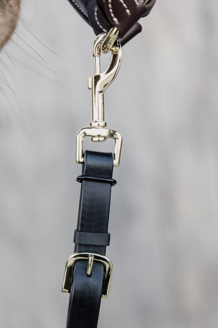 Kentucky Horsewear Presentation Lead