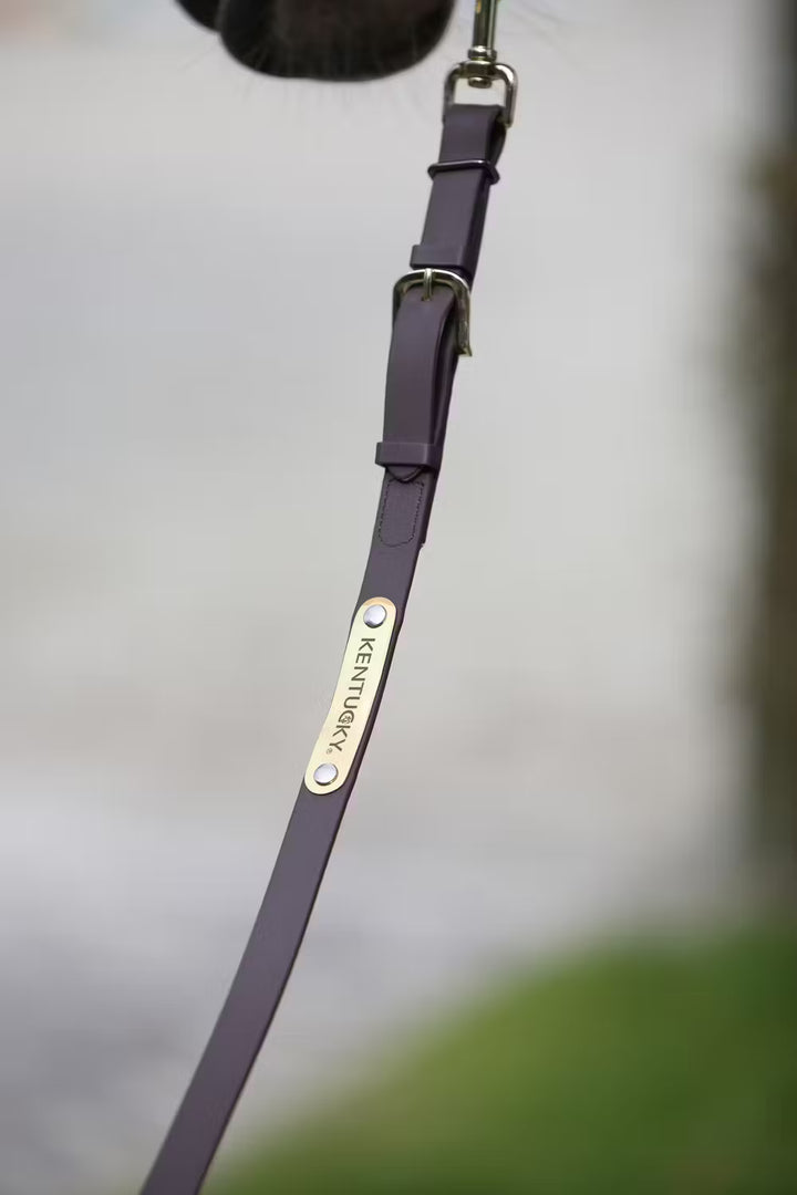 Kentucky Horsewear Presentation Lead