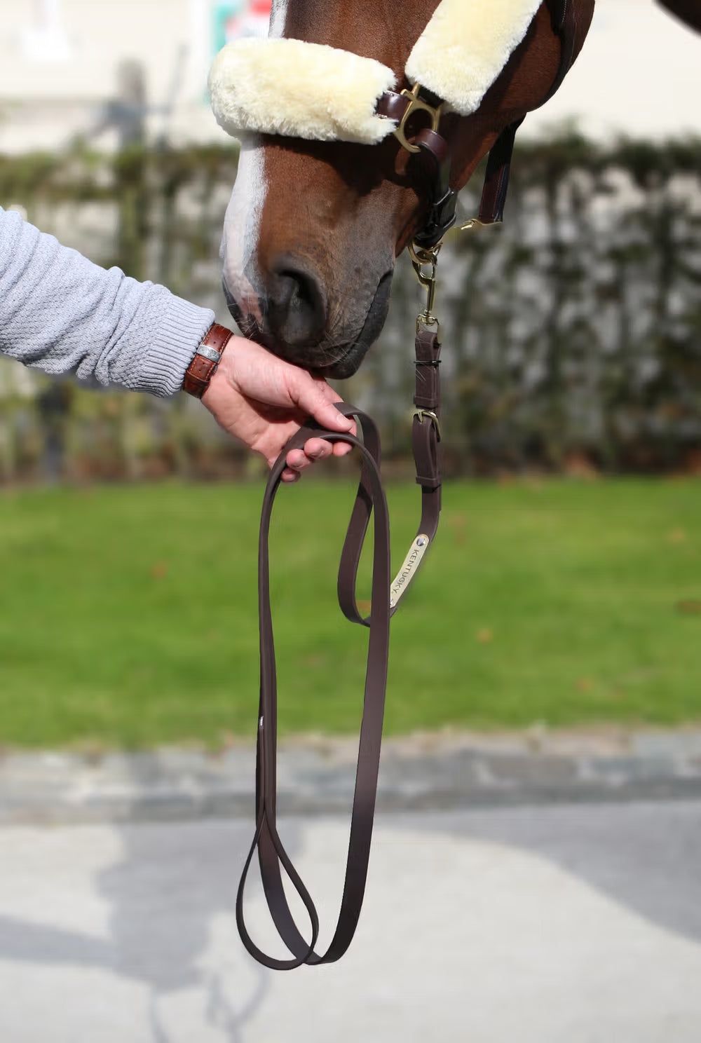 Kentucky Horsewear Presentation Lead