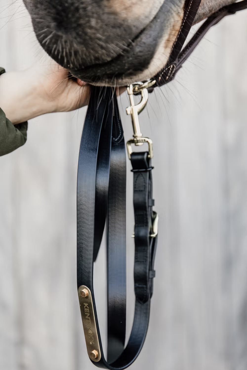 Kentucky Horsewear Presentation Lead