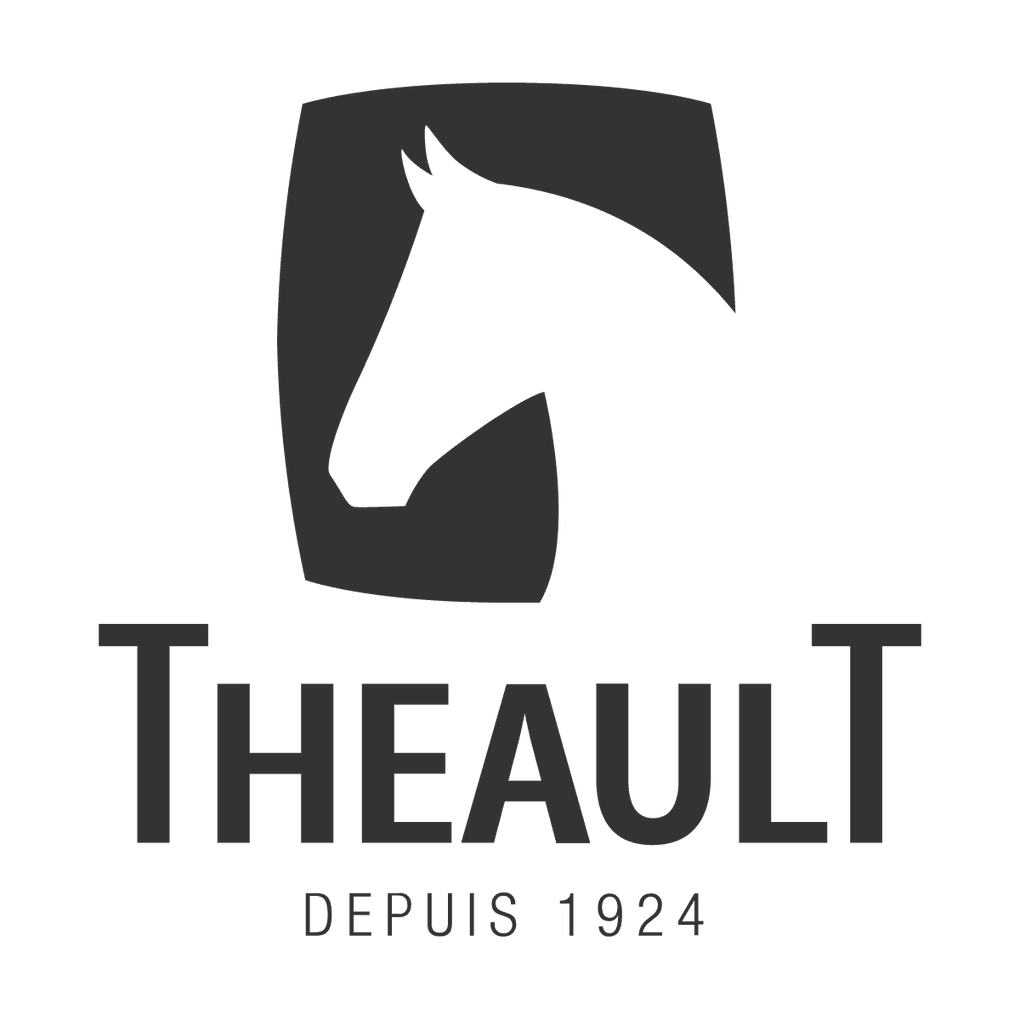 Theault horse boxes and horse transport. Theault Ireland.