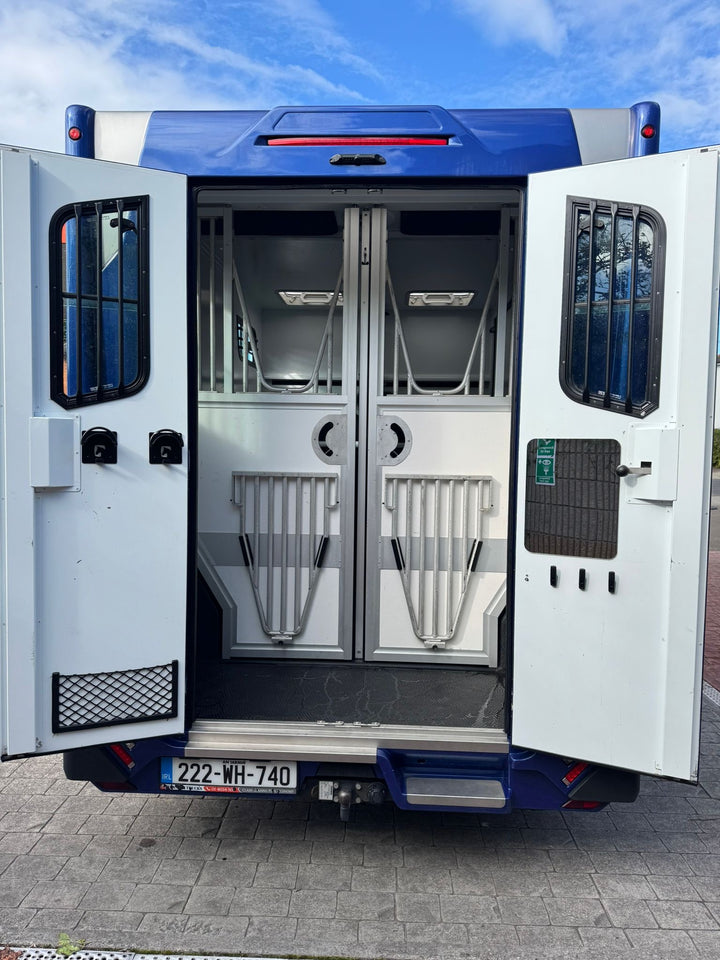 Theault - ProTeo 5L Switch Horsebox (2022)