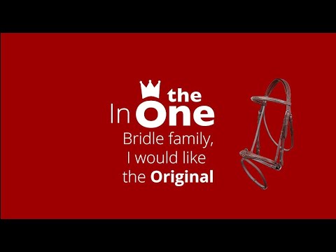 CWD Harrie Smolders Bridle + Reins. The Original Bridle