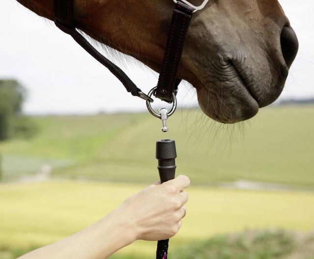 Pack Horse Goleygo 2.0 Lead Rope With Adaptor Pin