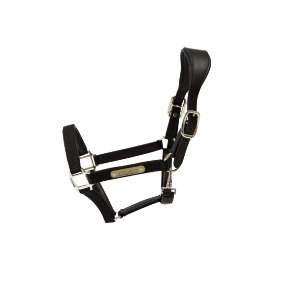 Kentucky Horsewear Nylon Anatomic Halter