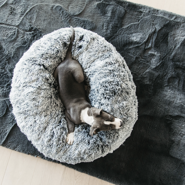 Kentucky Horsewear Dog Bed Comfort Donut