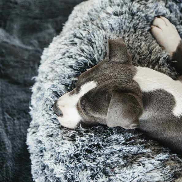 Kentucky Horsewear Dog Bed Comfort Donut