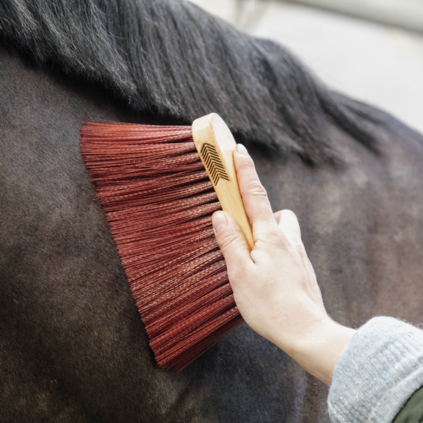 Kentucky Horsewear Middle Brush Long