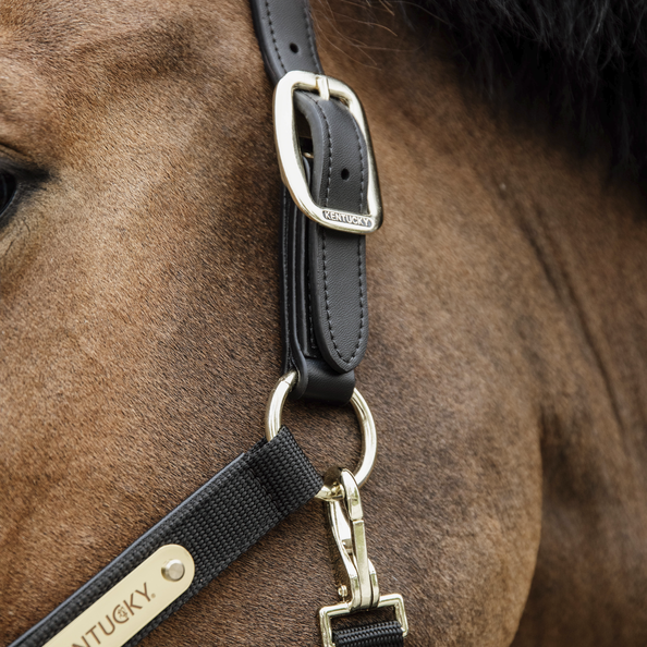 Kentucky Horsewear Nylon Anatomic Halter