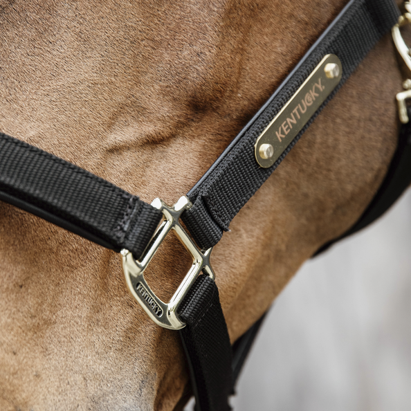 Kentucky Horsewear Nylon Anatomic Halter