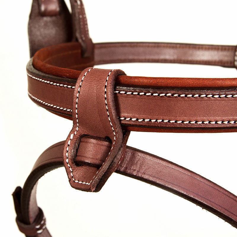 CWD Training Bridle