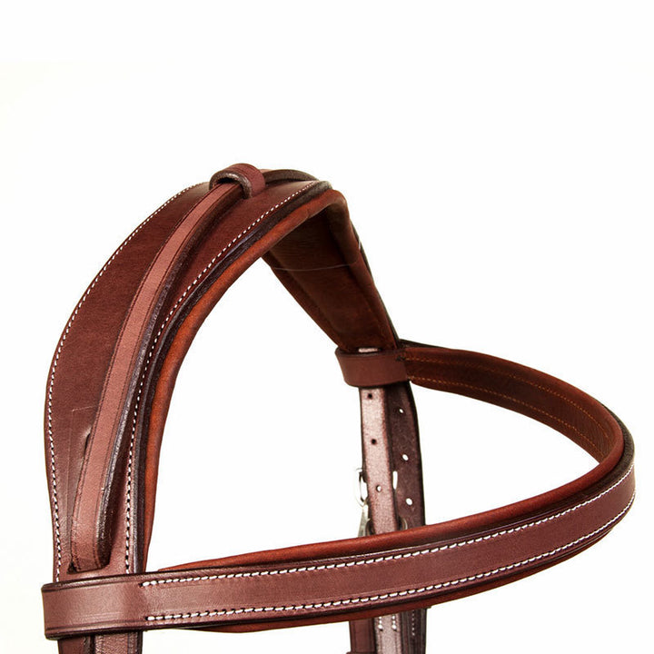 CWD Training Bridle