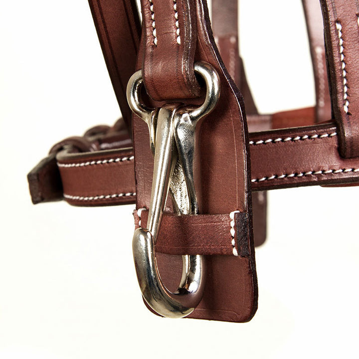 CWD Training Bridle