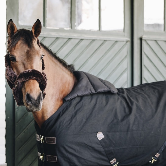 Kentucky Horsewear Horse Bib - Winter/Summer