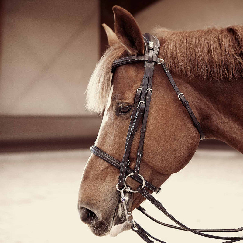 CWD Anatomic Bridle With Fancy Stitching