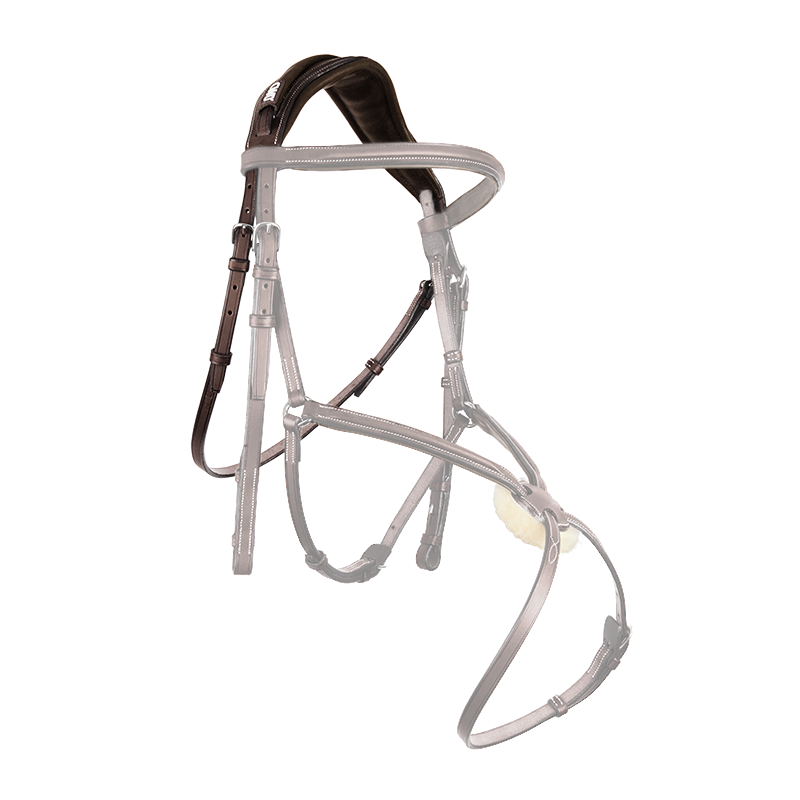 anatomical headpiece bridle
