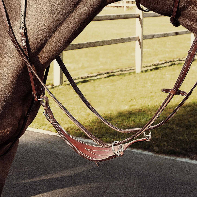 CWD Bib Martingale