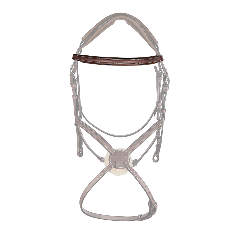 CWD Browband