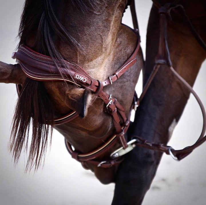 CWD Mademoiselle Anatomic French Noseband Bridle With Stitching