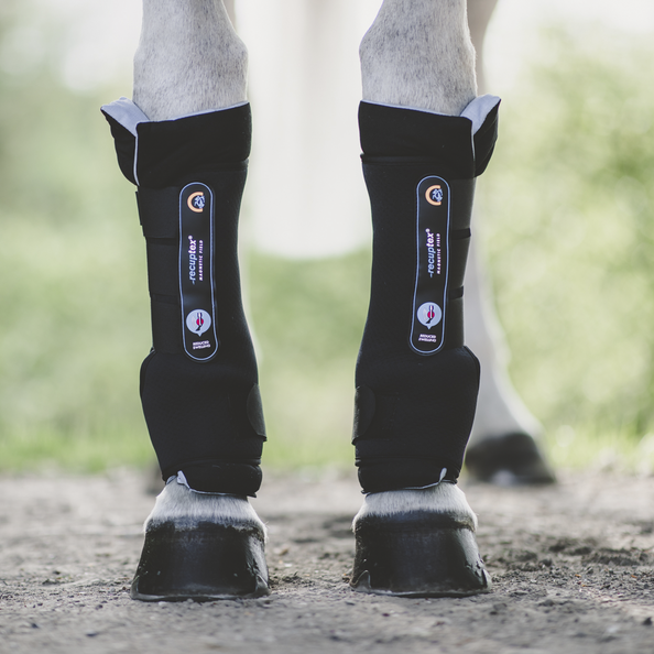 Magnetic Stable Boots Recuptex Equijump Ltd