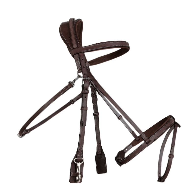CWD Training Bridle